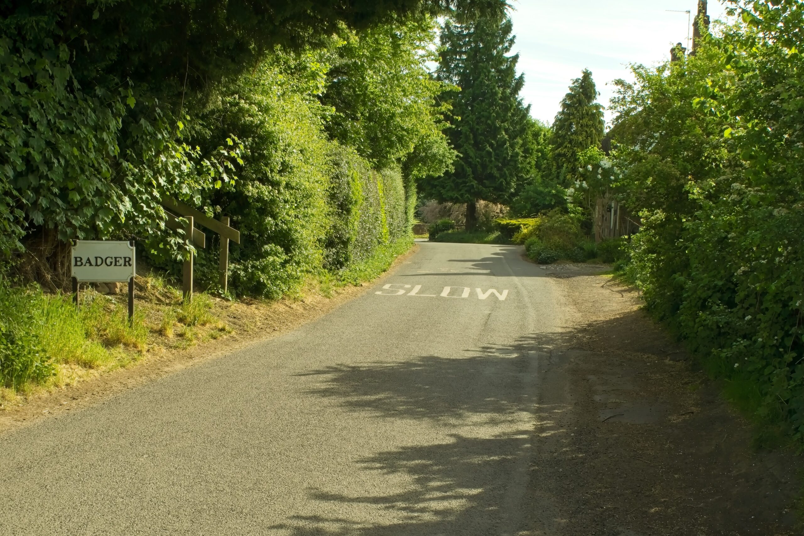 Badger Village Badger Village